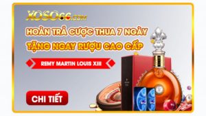 Giới thiệu chương trình hoàn trả cược thua 7 ngày tại Xoso66