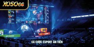 Cá Cược Esport Ăn Tiền - Sân Chơi Thú Vị Cho Người Yêu Game