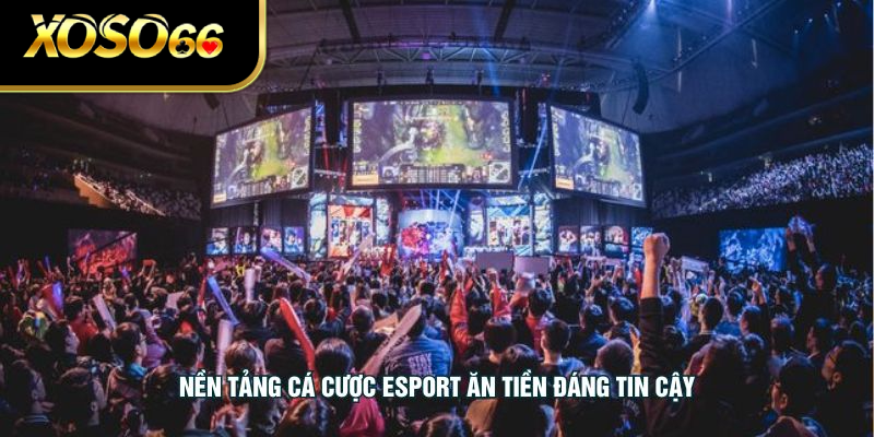 Nền tảng cá cược esport ăn tiền đáng tin cậy