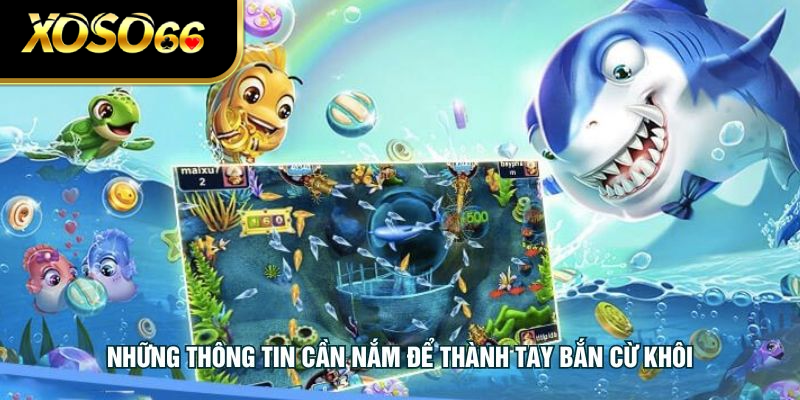 Những thông tin cần nắm để thành tay bắn cừ khôi