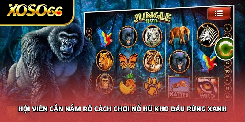 Hội viên cần nắm rõ cách chơi nổ hũ kho báu rừng xanh