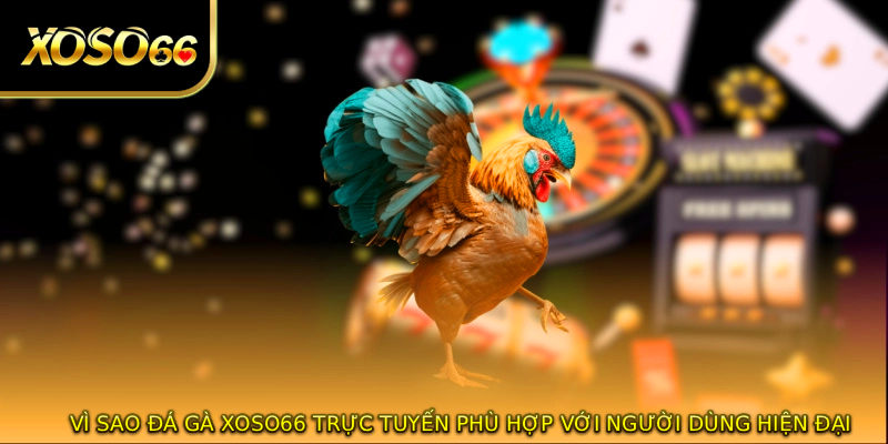 Vì sao đá gà XOSO66 trực tuyến phù hợp với người dùng hiện đại