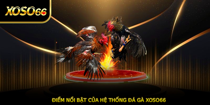 Điểm nổi bật của hệ thống ĐÁ GÀ XOSO66